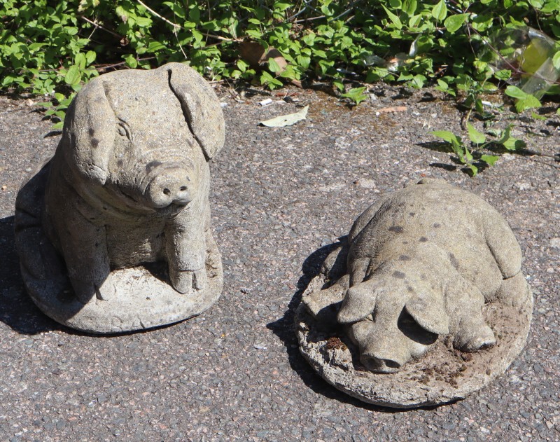 Two reconstituted stone garden pig ornaments, larger 35cm high